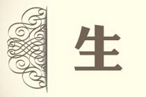 生：欧洲电影之旅