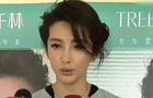 李冰冰工作太忙无暇看球