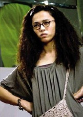 《家有喜事2009》