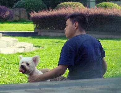 给汪星人拍照的摄影师