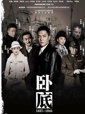 Chinese TV - 卧底