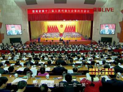 湖南省十二届人大四次会议开幕 杜家毫作政府工作报告
