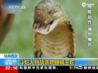 [视频]惊险现场：斗蛇人亲吻剧毒眼镜王蛇