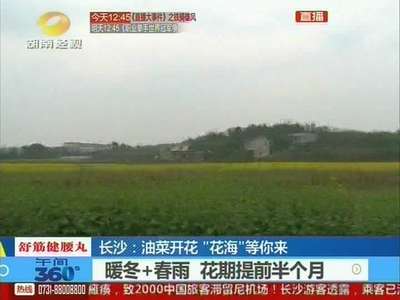 长沙：昨日惊蛰，地里油菜已开花，“花海”等你来