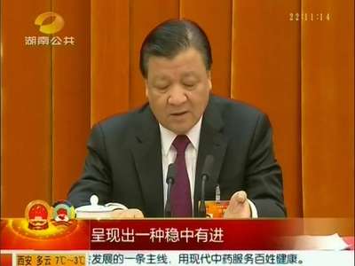 刘云山参加湖南代表团审议