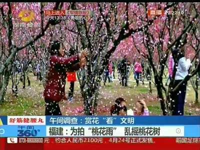 调查：赏花“看”文明