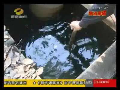 长沙警方调查9岁男童溺亡事件