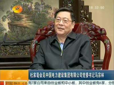 杜家毫会见中国电力建设集团有限公司党委书记马宗林