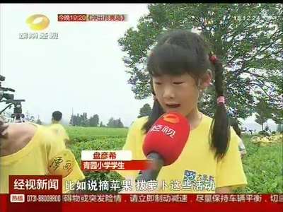 长沙：茶园“变身”教育基地 劳动的意义从自己动手开始