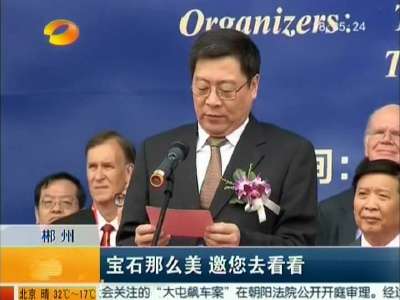 第三届矿博会在郴州开幕 姜大明宣布开幕 杜家毫讲话
