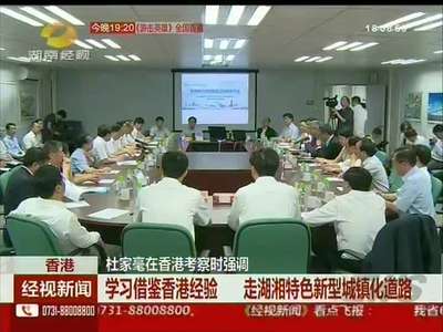 杜家毫在香港考察