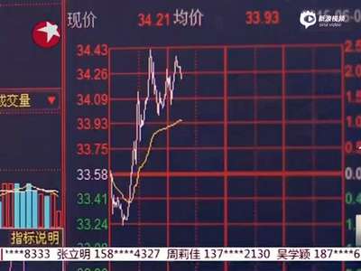 [视频]陕西兴平炒股村：全村100多股民边干农活边炒股