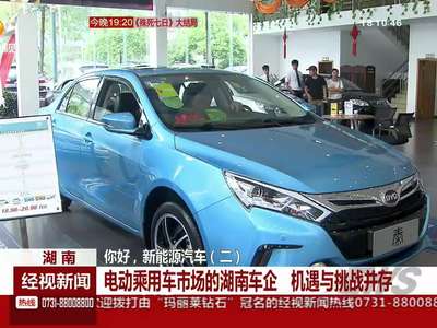 你好 新能源汽车