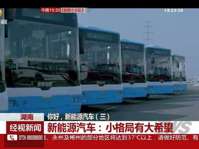 新能源汽车：小格局有大希望