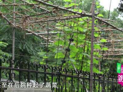 [视频]李连杰斥资上亿豪宅仍空置 后院成园丁菜园子