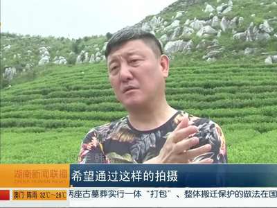 韩磊牵手安化黑茶 助推湘茶产业