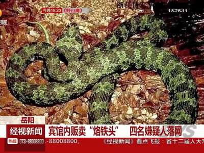 岳阳：宾馆内贩卖“烙铁头” 四名嫌疑人落网