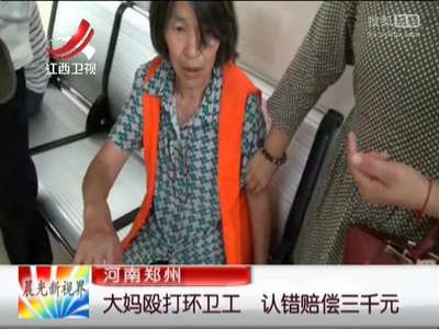 [视频]河南郑州：大妈殴打环卫工 认错赔偿三千元