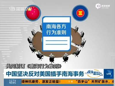 [视频]王毅坚定表态：中国不允许任何国家把南海搞乱