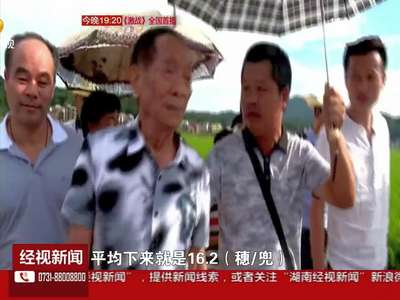 袁隆平院士指导攻关实验 超级稻亩产有望达1067公斤