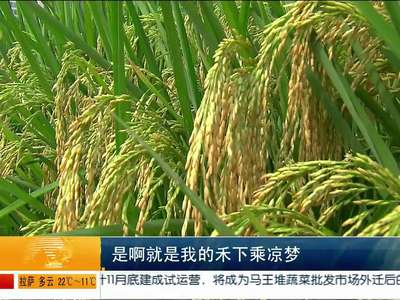 袁隆平：第五期超级杂交稻大面积每公顷达16吨目标有望实现