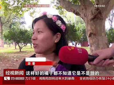 橘子洲头”偷橘子“ 一天开出十多张罚单