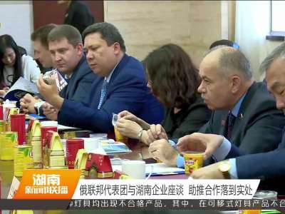 俄联邦代表团与湖南企业座谈 助推合作落到实处