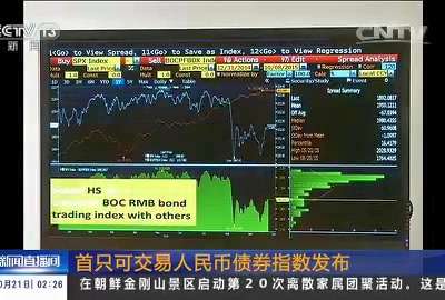 [视频]首只可交易人民币债券指数发布