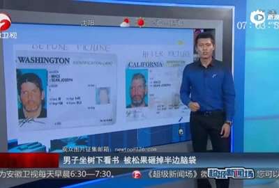 [视频]美国一男子坐树下看书 被松果砸掉半边脑袋