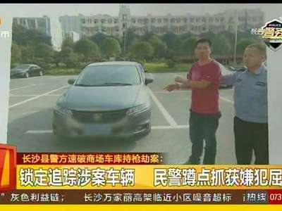 长沙县警方速破商场车库持枪劫案 缴获两把仿真枪