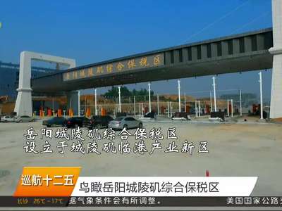 鸟瞰岳阳城陵矶综合保税区