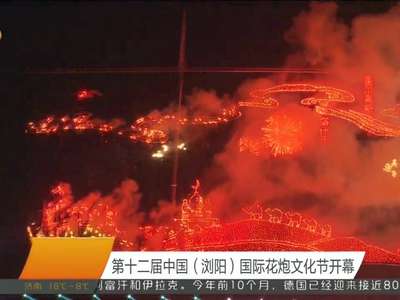 第十二届中国（浏阳）国际花炮文化节开幕