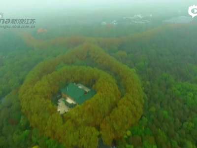 [视频]震撼航拍：中山陵美龄宫俯瞰似璀璨项链