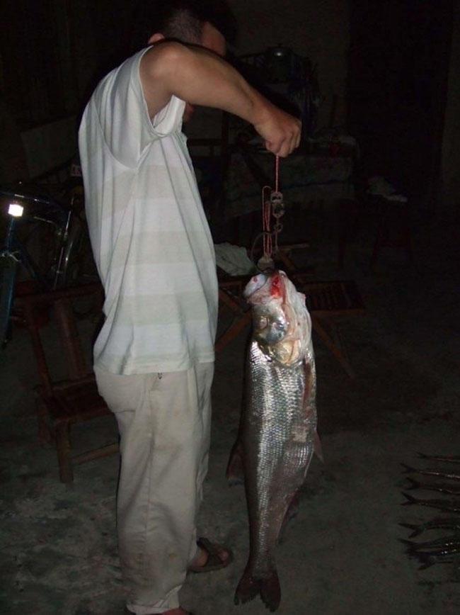 一次疯狂的夜钓白鱼,因为鱼背弯曲,又称翘腰或