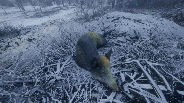 《猎人:荒野的召唤》新DLC梅德韦泰嘉国家公