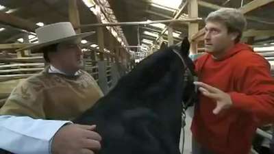  赵本山朗朗 :二胡与钢琴《赛马》_百度影视