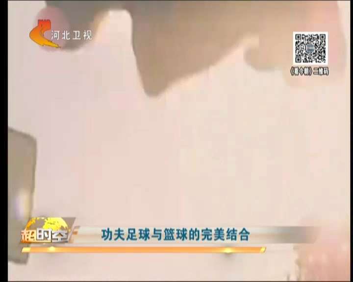 功夫足球国语版张卫健