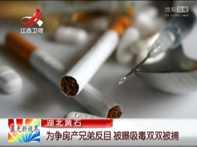 [视频]为争房产兄弟反目 被曝吸毒双双被捕