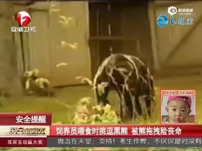 [视频]实拍饲养员喂食时挑逗黑熊 被熊拖拽险丧命