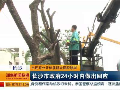 市民写公开信质疑大面积移树：长沙市政府24小时内做出回应
