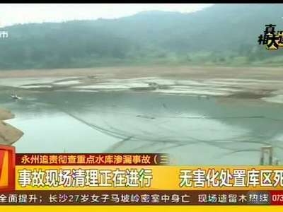 水库突然大渗漏 近30万立方水数小时泄尽