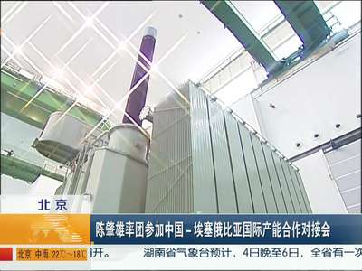 陈肇雄率团参加中国——埃塞俄比亚国际产能合作对接会