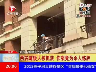 [视频]两少年杀人焚尸 自称效仿网游相约杀人练胆