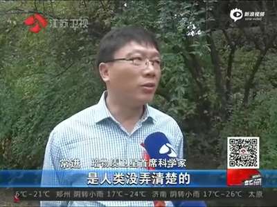 [视频]中国将发射首颗暗物质探测卫星