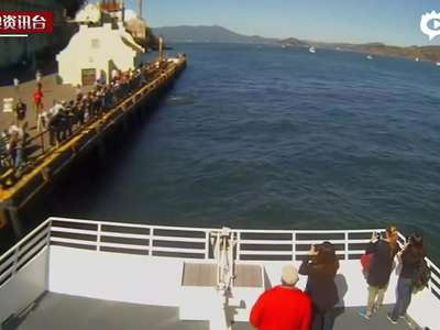 [视频]游客实拍数米外大白鲨吞食海豹 血海翻腾