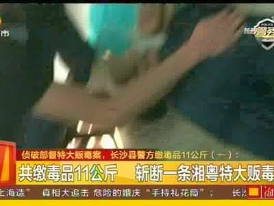 侦破部督特大贩毒案 长沙县警方缴毒品11公斤