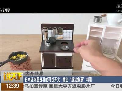 [视频]日本迷你厨房真的可以开火 作出“超治愈系”料理