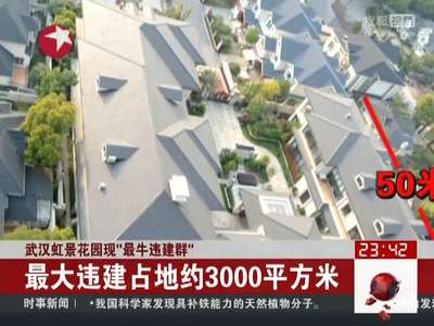 [视频]武汉虹景花园现“最牛违建群”