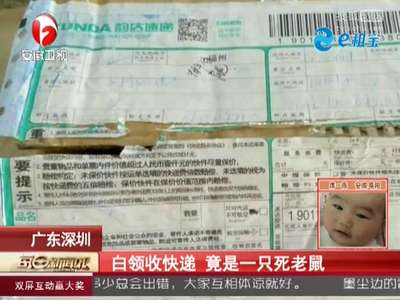 [视频]白领收快递 竟是一只死老鼠