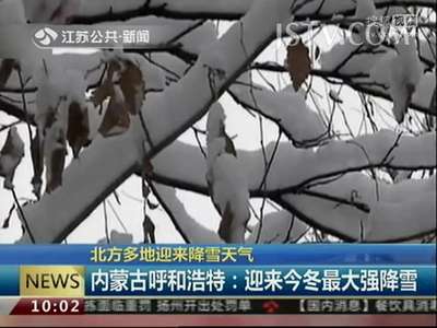 [视频]内蒙古呼和浩特：迎来2015年冬最大强降雪